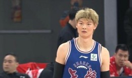 王哲林爆料视频大全最新,揭秘篮球巨星背后的故事与瞬间