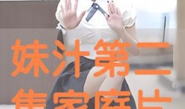 妹汁全集视频在线观看,一场视觉盛宴的在线观看之旅