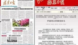 罗源特大新闻爆料事件,揭秘背后真相与网络舆论风暴