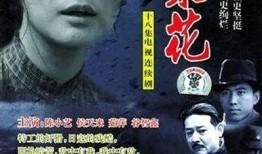 苦菜花电视剧在线观看,抗战岁月里的家国情怀