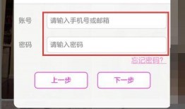 往期视频爆料怎么找人,探寻人生奥秘的神秘路径