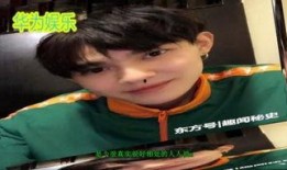 明星爆料王嘉莹视频,揭秘明星幕后生活点滴