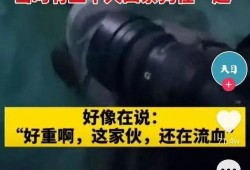 王相军爆料了哪些猛料视频,视频揭秘事件真相