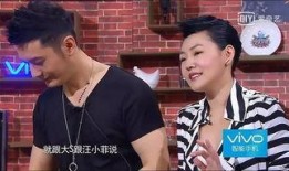 大s和小s互相爆料视频,大S与小S互爆视频，揭秘娱乐圈幕后故事