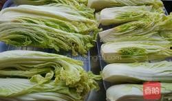 湖北泡菜爆料视频,传统美味背后的制作秘籍大揭秘