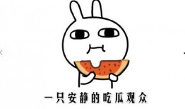 抖音网红最新吃瓜