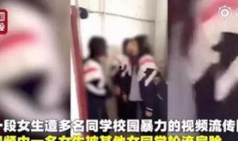 面包哥前妻爆料视频,揭秘婚姻背后的惊人真相