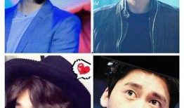 圈内人爆料刘涛,揭秘明星背后的真实故事