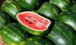 吃瓜免费地址,免费吃瓜地址大公开，畅享美食新体验！