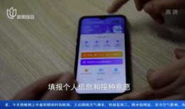 接种韩版手机在线观看,在线观看体验分享