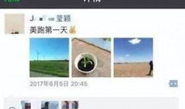 更新爆料视频在哪里看,最新爆料视频观看攻略，一网打尽热门平台！