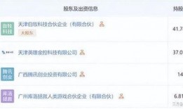 鸣潮爆料视频查特征码,探寻游戏特征码背后的秘密