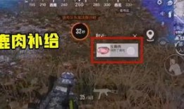 第二武器爆料视频,全新玩法与性能大揭秘