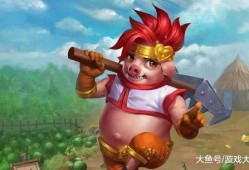 山东猴哥爆料视频大全,揭秘幕后故事与趣味瞬间