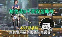 须弥雷神爆料视频,视频爆料背后的神秘力量