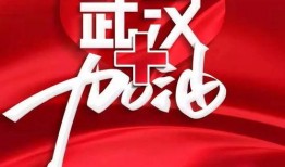 湛江今日一线爆料,揭秘城市热点事件背后的真相