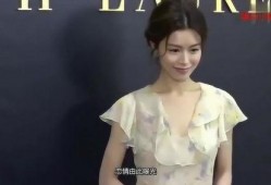 文咏珊最新爆料,揭秘娱乐圈不为人知的幕后故事