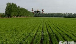 黑龙江农场爆料视频播放,揭秘农场真实生活现状