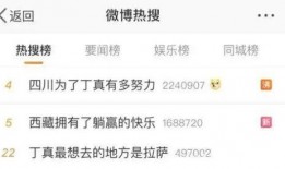 热搜爆料打架视频大全,一幕幕冲突瞬间引发网友热议