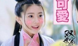 双世皇妃在线观看,穿越时空的浪漫传奇