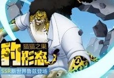 海贼王鲁兹爆料视频大全,揭秘剧情背后的秘密与精彩瞬间