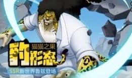 海贼王鲁兹爆料视频大全,揭秘剧情背后的秘密与精彩瞬间