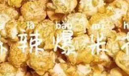 美食爆料热点视频大全最新,热门视频大盘点，舌尖上的美味盛宴