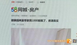 深圳沈先生最新爆料,揭秘事件背后惊人真相