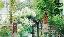 小院在线观看,在线重温温馨时光，共度美好回忆