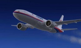 马航爆料被杀视频