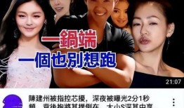 大s和小s互相爆料视频,大S与小S互爆视频，揭秘娱乐圈幕后故事