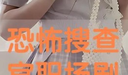 搜查官在线观看手机,揭秘网络追踪背后的惊险故事