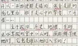 熊孩子作文爆料视频大全,揭秘童言无忌的欢乐瞬间