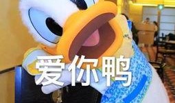 娱乐吃瓜鸭图片,揭秘娱乐圈那些不为人知的幕后故事