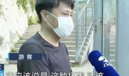 吃瓜被打的网红是谁,一场网络争议的漩涡