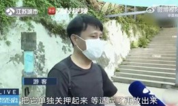 吃瓜被打的网红是谁,一场网络争议的漩涡
