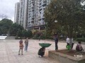 九龙小区爆料视频播放,揭秘社区生活点滴
