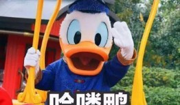 娱乐吃瓜鸭图片,揭秘娱乐圈那些不为人知的幕后故事