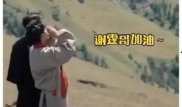 娱乐圈姐弟恋大爆料小说,揭秘姐弟恋背后的爱恨情仇