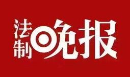 新闻爆料有用吗,揭秘事件真相，助力舆论监督