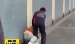 老妈爆料儿子被打视频,老妈爆料儿子被打，真相令人震惊