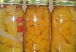 水果罐头爆料怎么做的视频,视频揭秘家常美味罐头制作全过程